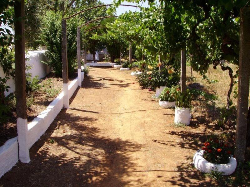 Turimenha Hostal Marvão Exterior foto